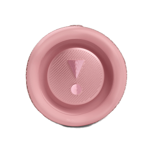 JBL Flip 6 garso kolonėlė Pink 3 img.