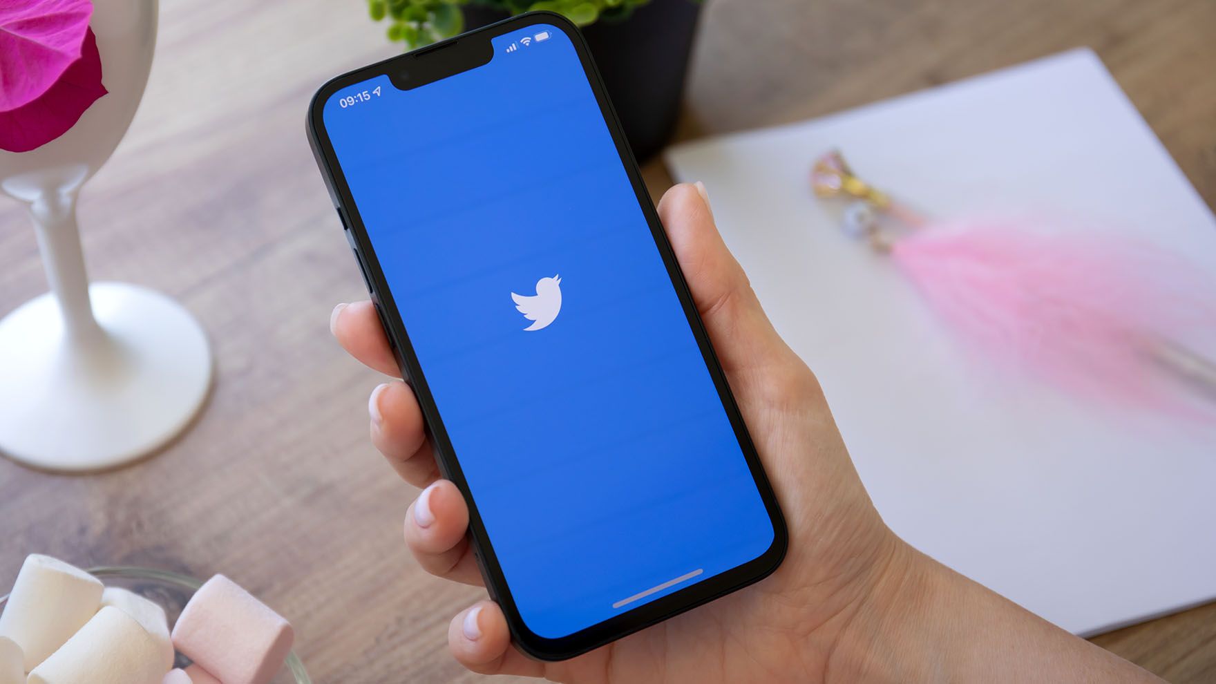 Kuo naudingas socialinis tinklas „Twitter“ ir kaip juo naudotis? | BITĖ
