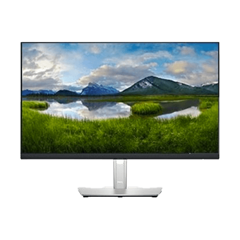 Dell LCD P2422HE 23.8