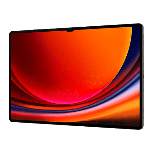 Samsung Galaxy Tab S9 Ultra 5G planšetinis kompiuteris 256 GB Graphite 4 img.