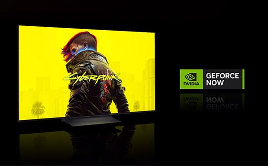 „LG 55" OLED55C31LA | BITĖ