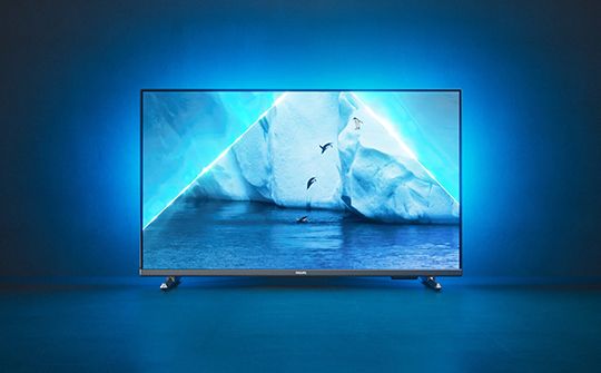 Philips 32PFS6908/12 | BITĖ