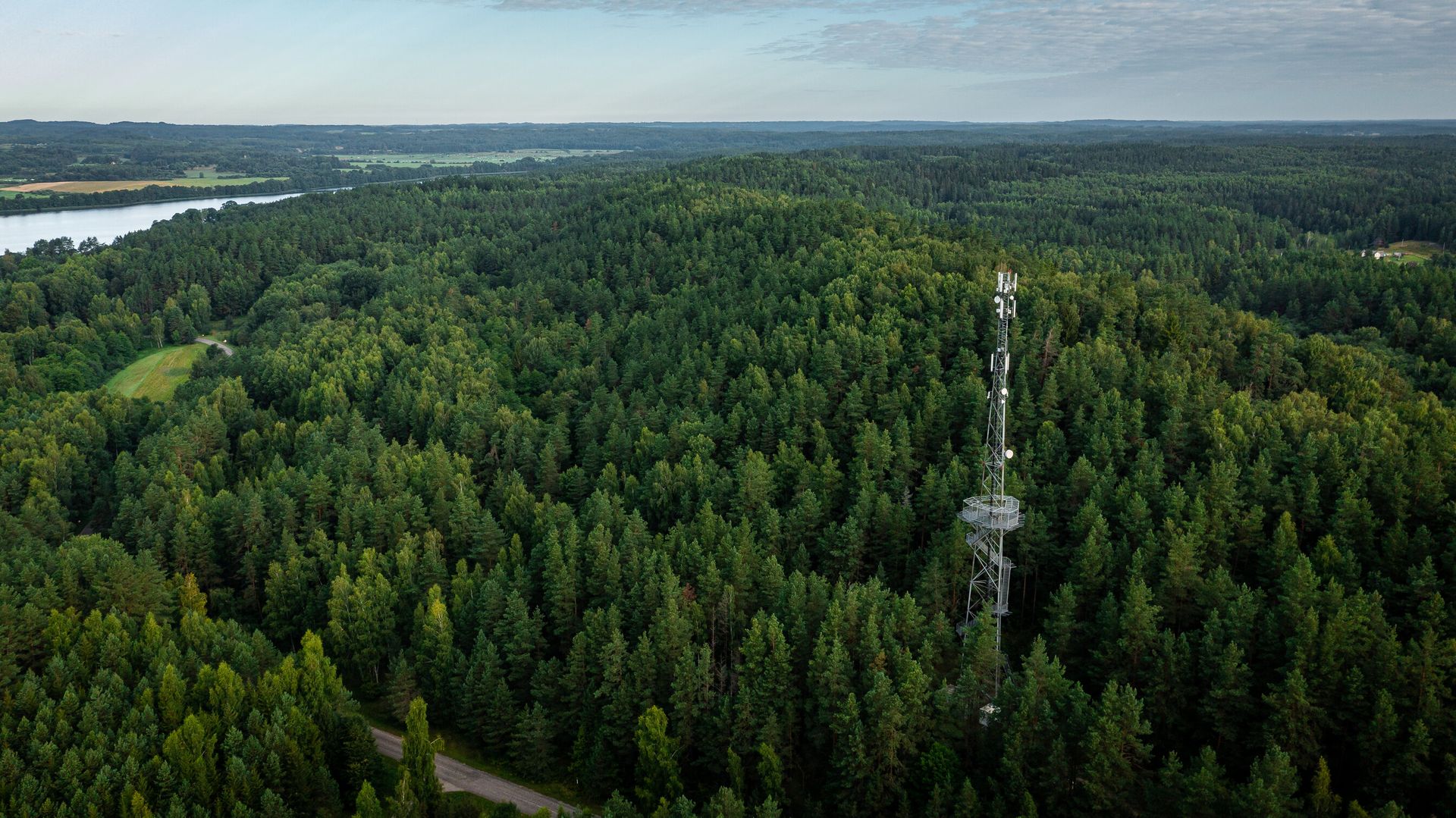 Pasiklydote miške? Atsakė, ar ryšio paieška neiškraus telefono baterijos | BITĖ