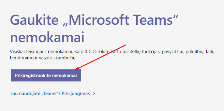 MS TEAMS | BITĖ