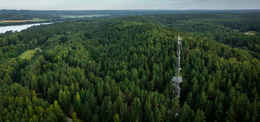 Pasiklydote miške? Atsakė, ar ryšio paieška neiškraus telefono baterijos | BITĖ
