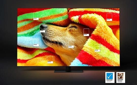 Samsung QE50Q67CAUXXH | BITĖ