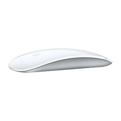 Apple Magic Mouse (MK2E3ZM/A) | BITĖ 1