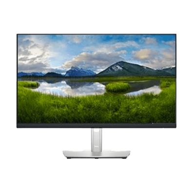 Dell LCD P2422HE 23.8" | BITĖ 2