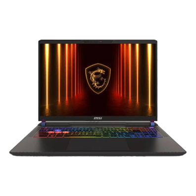 MSI Vector 16 HX AI A2XWHG 16" Core Ultra U9-275HX | BITĖ 1