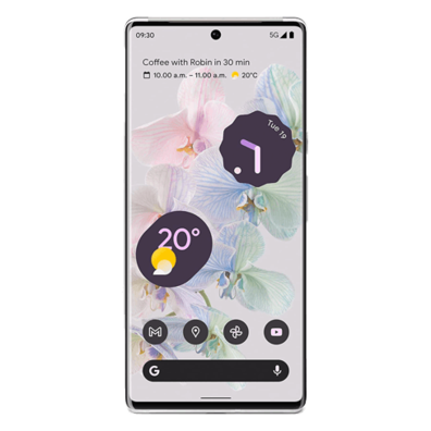 Google Pixel 6 Pro | BITĖ