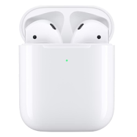 Apple AirPods 2 with Charging Case