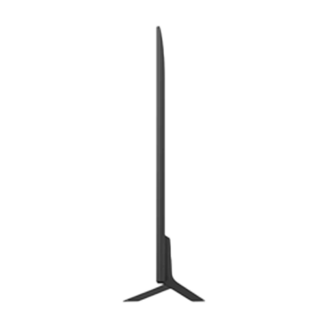 LG 65