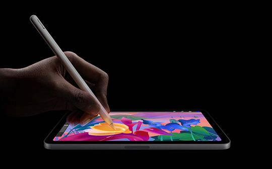 Apple iPad Mini | Bite
